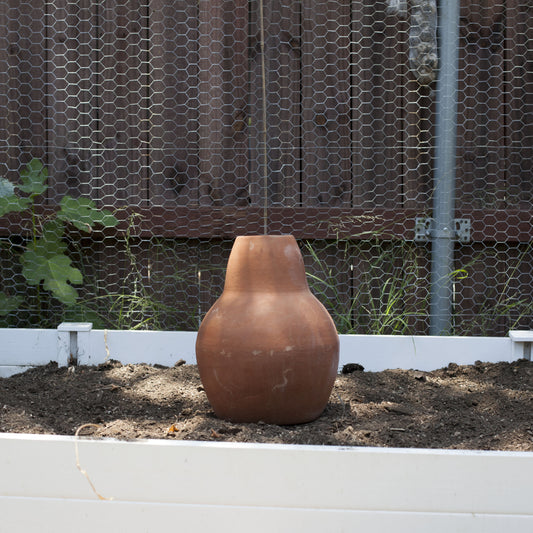 Benefits of Using an Olla Pot