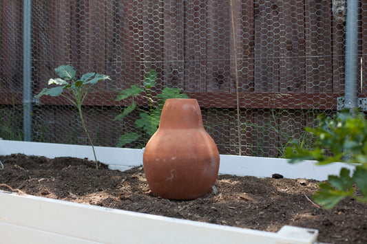 Large (3.2 gal.) Garden Olla