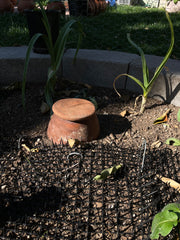 Extra Large (3.2 gal) Olla Irrigation Pot with Lid